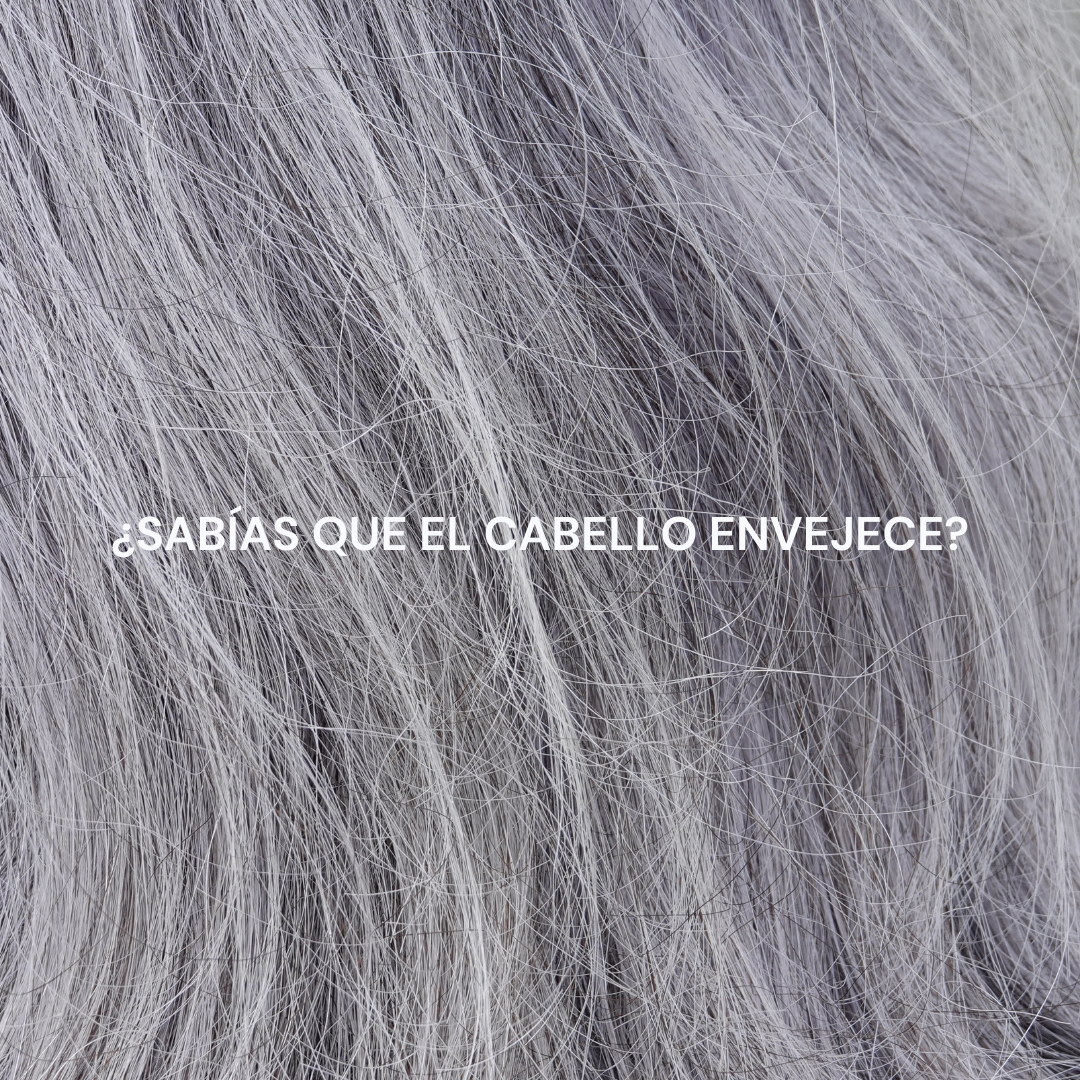 Cuidado capilar: más allá de las canas, así cambia tu cabello con la edad y cómo mantenerlo joven y brillante
