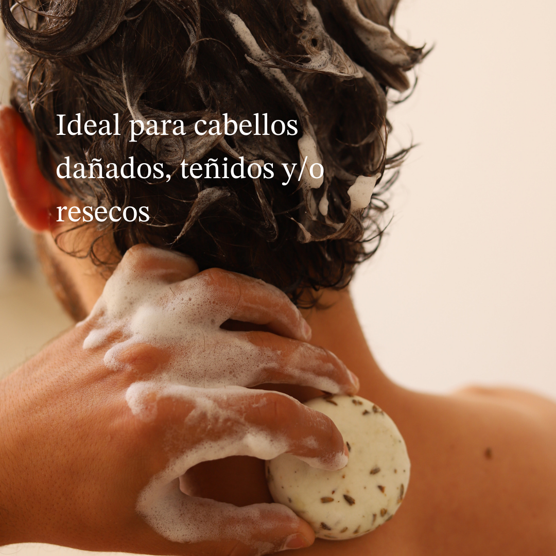 Champú nutritivo sólido