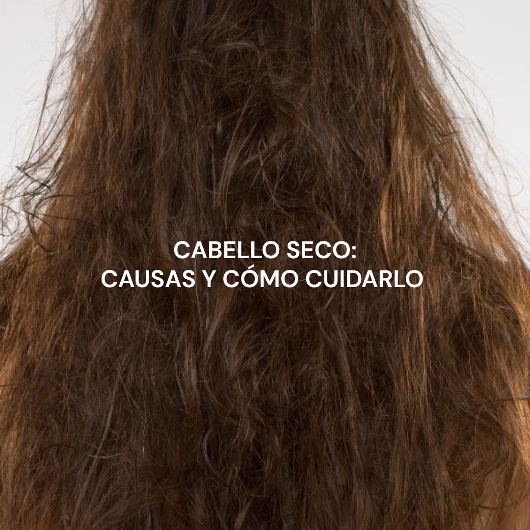 Cabello seco: causas y cómo cuidarlo naturalmente