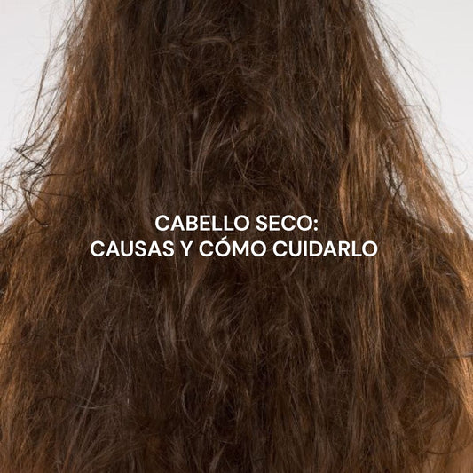 Cabello seco: causas y cómo cuidarlo naturalmente