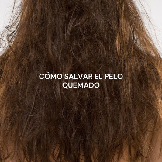¿Tu pelo se rompe solo? Cómo detener el "Burnout Capilar" sin tener que cortar