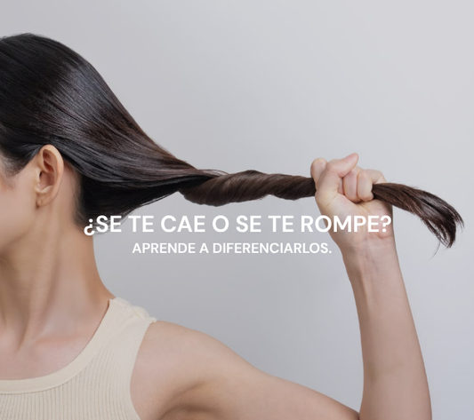 ¿Se te cae el pelo o se te está rompiendo?