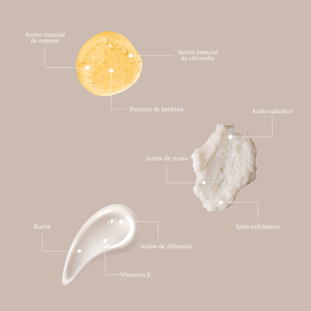 Rutina detox completa para raíces grasas