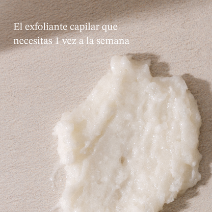 Champú detox exfoliante