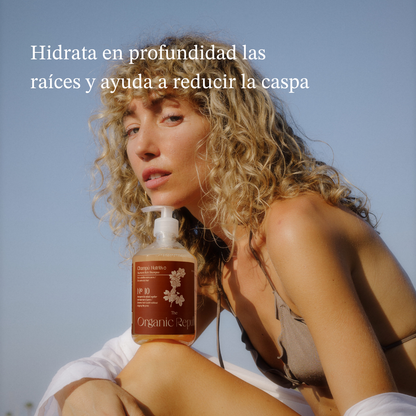 Tratamiento Anti frizz