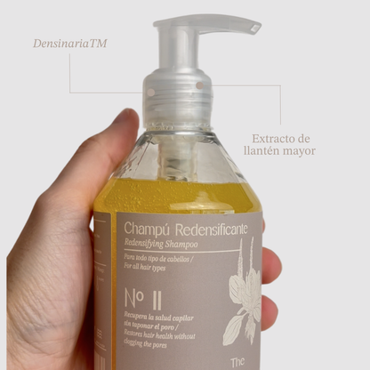 Redensify hair - Redensifying shampoo &amp; Mask and conditioner