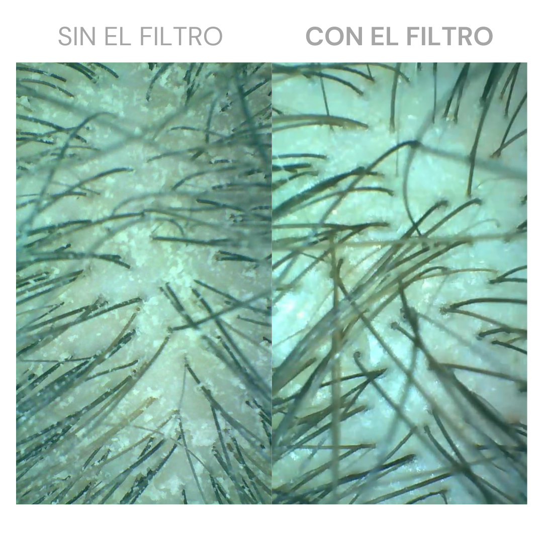 Cabezal de ducha con filtro purificante